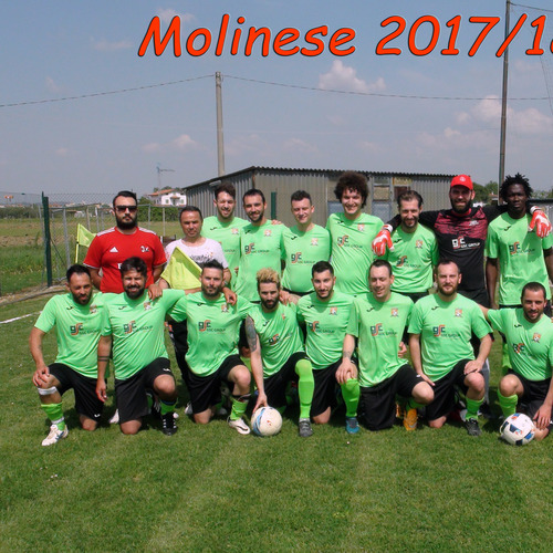 New Team - Molinese